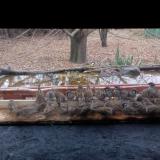 photo 2021-11-26 09-58-22