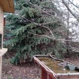 photo 2021-12-11 13-11-07