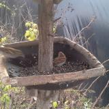 photo 2019-12-21 10-26-12