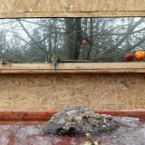 photo 2022-01-25 11-49-31