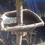 photo 2019-02-23 14-15-43