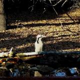 photo 2021-10-25 15-53-16 harkaly