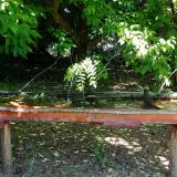 photo 2021-05-26 10-42-56