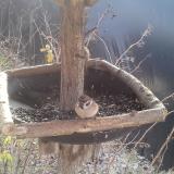 photo 2019-12-31 10-55-46