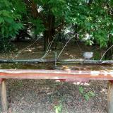 photo 2021-07-04 12-30-53