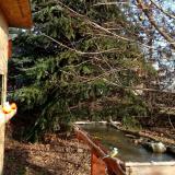 photo 2021-12-15 10-46-53