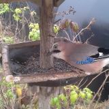 photo 2019-12-12 12-51-05