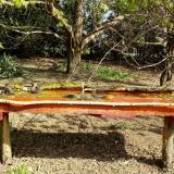 photo 2021-04-12 09-54-58