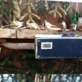 photo 2021-02-13 10-48-09