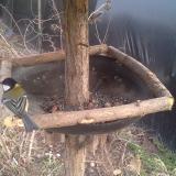 photo 2019-03-09 16-51-13