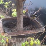 photo 2019-12-14 11-16-22