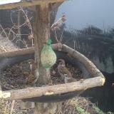 photo 2019-02-11 08-40-30