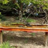 photo 2021-04-25 11-32-56