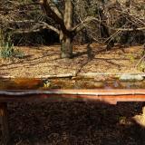 photo 2021-10-27 14-07-53