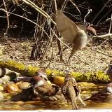 photo 2021-03-11 10-36-00 furdes