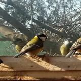 photo 2022-01-24 12-37-55 szencinege