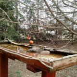 photo 2022-03-17 12-43-54