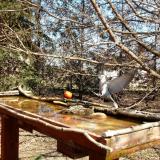 photo 2022-03-22 12-25-08