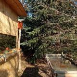 photo 2022-01-11 11-29-58