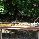 photo 2021-09-11 08-30-53