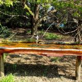 photo 2021-04-21 09-44-53