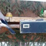 photo 2021-02-13 08-05-18