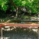 photo 2021-05-10 11-48-18