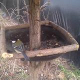 photo 2019-03-15 15-40-30