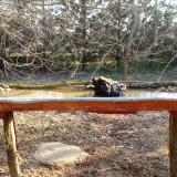 photo 2021-03-11 08-01-35