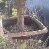 photo 2019-12-17 11-24-52