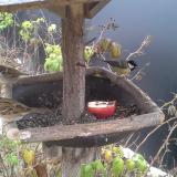 photo 2019-12-06 09-13-05