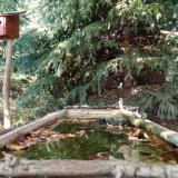 photo 2023-10-04 15-36-05