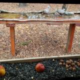 photo 2021-11-03 12-43-26