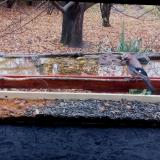 photo 2021-11-08 09-21-59