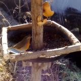 photo 2019-02-06 09-41-46