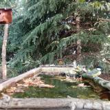 photo 2023-10-04 11-01-30