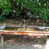 photo 2021-09-24 15-24-31