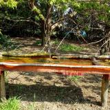 photo 2021-04-22 10-03-42