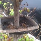 photo 2019-12-02 09-38-54