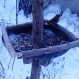 photo 2019-01-07 07-18-34