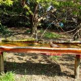 photo 2021-04-22 10-03-23