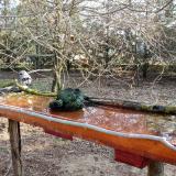 photo 2021-03-26 07-39-16