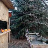 photo 2021-12-22 09-28-16