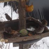 photo 2019-01-27 11-44-35