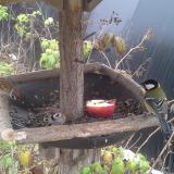 photo 2019-12-06 11-26-44