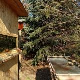 photo 2022-01-12 12-24-30