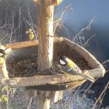 photo 2019-12-30 15-02-36