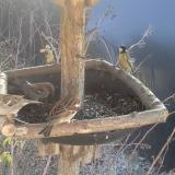 photo 2019-12-31 12-13-08