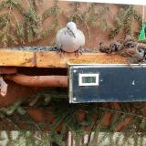 photo 2021-03-04 12-42-12