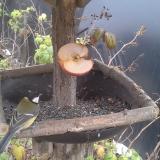 photo 2019-12-05 11-16-17